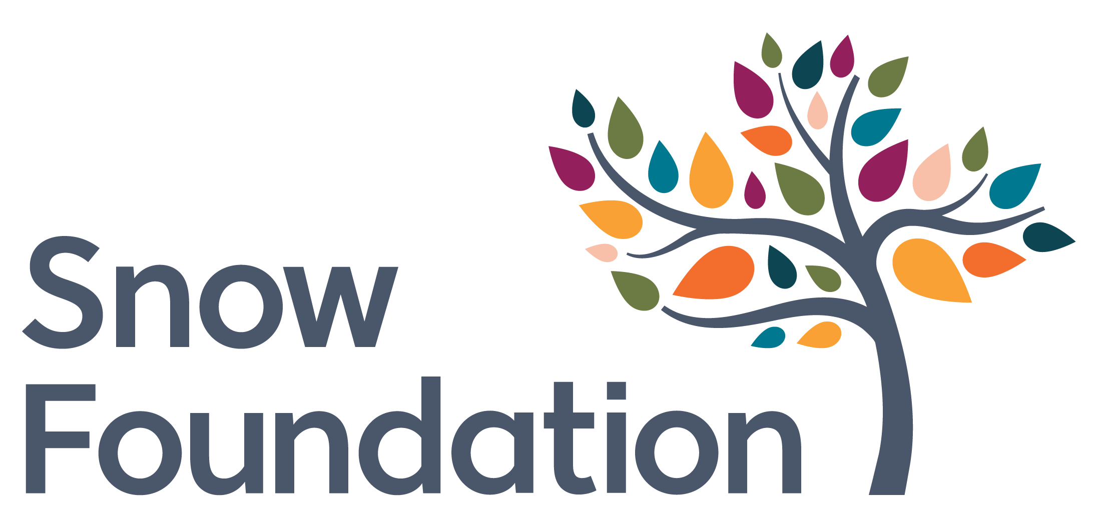 Snow foundation Logo